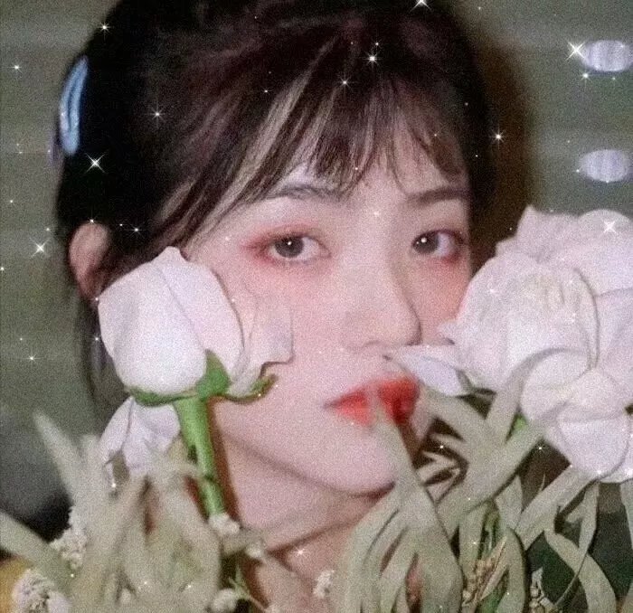 完美娇妻